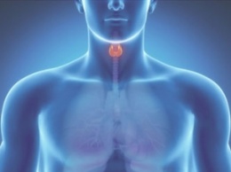 Как распознать проблемы с щитовидкой: тревожные симптомы