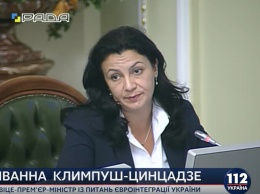 Климпуш-Цинцадзе: Украина не будет торговать территориальной целостностью ради какого-либо типа нейтралитета