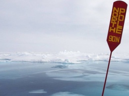 Зимняя катастрофа в Арктике: на 20 градусов теплее нормы, лед тает