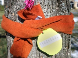 Если вы увидели шарф на дереве, не спешите искать его владельца! Вот что это значит