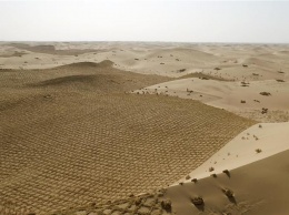 В Китае начали борьбу с пустыней