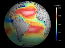 Подкисление мирового океана приведет к глобальной катастрофе