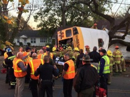 В США школьный автобус врезался в дерево, погибли шесть детей
