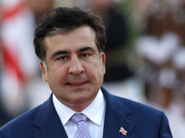 Саакашвили выступает за приватизацию государственных портов