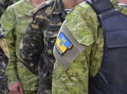 Командира взвода роты "Сумы" заподозрили в подготовке террористического акта