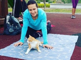 Олесе Повх помогает тренироваться турецкий кот