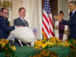 Обама в канун Дня благодарения помилует индеек Картофелину и Карапуза