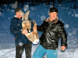 Охотники в Сибири занялись спасением добычи