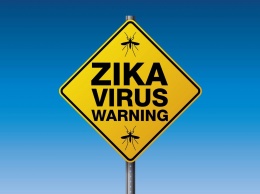Вирус Зика объявлен долговременной опасностью для человечества