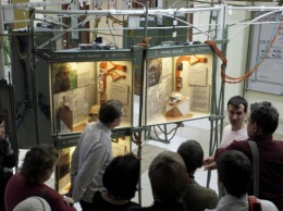 24 ноября в Новосибирске на выставке покажут черепа людей