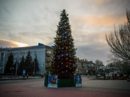 Новогодняя елка для Бердянска закуплена