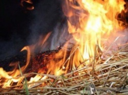 В Херсонской области пожарным пришлось тушить солому