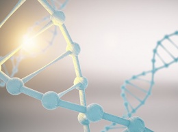 Биолог рассказал о перспективах системы редактирования генома человека