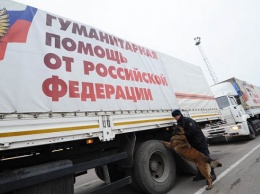 Украинские пограничники рассказали, что перевозит "гумконвой" РФ