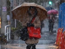 В Токио впервые за 54 года выпал ноябрьский снег
