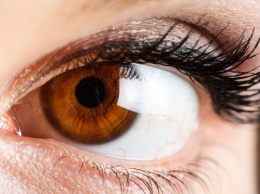 Ученые: Пересадка глаза может быть проведена в ближайшие десять лет