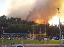 Пожар в Хайфе локализован, но есть риски новых возгораний