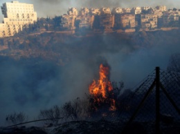 Пожар в Израильской Хайфе взят под контроль