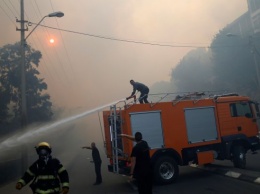 Пожары в Израиле: полиция задержала 12 подозреваемых в поджогах