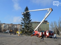 В этом году на площади Фестивальной снова установят живую елку