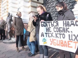 В Одессе активисты вышли против догхантеров (Видео)