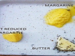 «Жирные» факты: масло против маргарина
