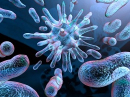 Ученые МГУ: Бактерии управляют мыслями людей