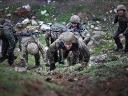 Появился новый смелый прогноз о вступлении Украины в НАТО