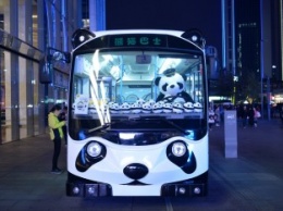 В Китае на улицы выехал автобус-панда (фото)