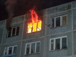 В Кривом Роге ночью горела девятиэтажка. Пожарные спасли 9 человек и домашних животных