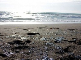 В Крыму экологическая катастрофа: пляжи в мазуте, гибнут птицы (ВИДЕО)