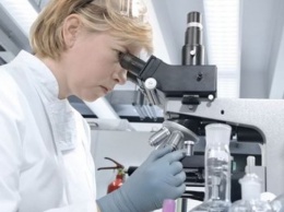 Ученые из Новосибирска начали выращивать человеческую кожу