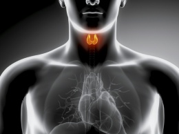 Избыток гормонов щитовидки может привести к остановке сердца