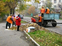 В городском совете Кропивницкого рассмотрели проблему вывоза опавших листьев