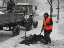 Не смотря на снег, в столице высаживают деревья