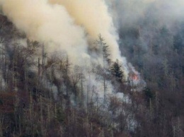 Лесной пожар в Теннесси: эвакуировали более 14 тыс. человек