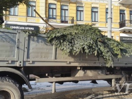 В Киеве начались подготовительные работы к установке главной елки страны