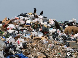 Дорожники Запорожской области вывезли 780 тонн мусора за месяц