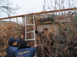 В Херсоне должник встретил полицию и газовщиков с вилами в руках