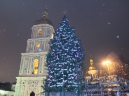 Главная елка Киева стоит почти 50 тыс. грн