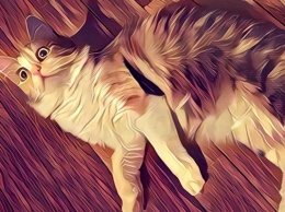 Facebook отключил фотосервис Prisma от возможности вести прямые трансляции в Live