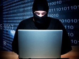 Копы задержали хакера всемирной киберсети