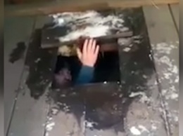 В Чите пьяный водитель "Лексуса" скрылся от ГИБДД в выгребной яме туалета