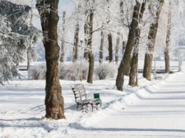 В Днепровском районе на 13 гектарах появится парк
