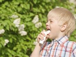 Ученые: Мыши могут вызвать приступы астмы у школьников