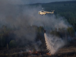 Пожарные потушили пожар под Чернобылем
