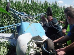 Легкомоторный самолет упал в Черниговской области, погиб пилот