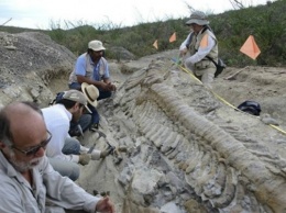 В Австралии раскопали неизвестного динозавра