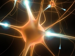 Нейроны в мозге человека имеют цикл сна-бодрствования - ученые