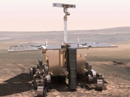 Ученые: жизнь на Марсе поможет найти "селфи-палка"